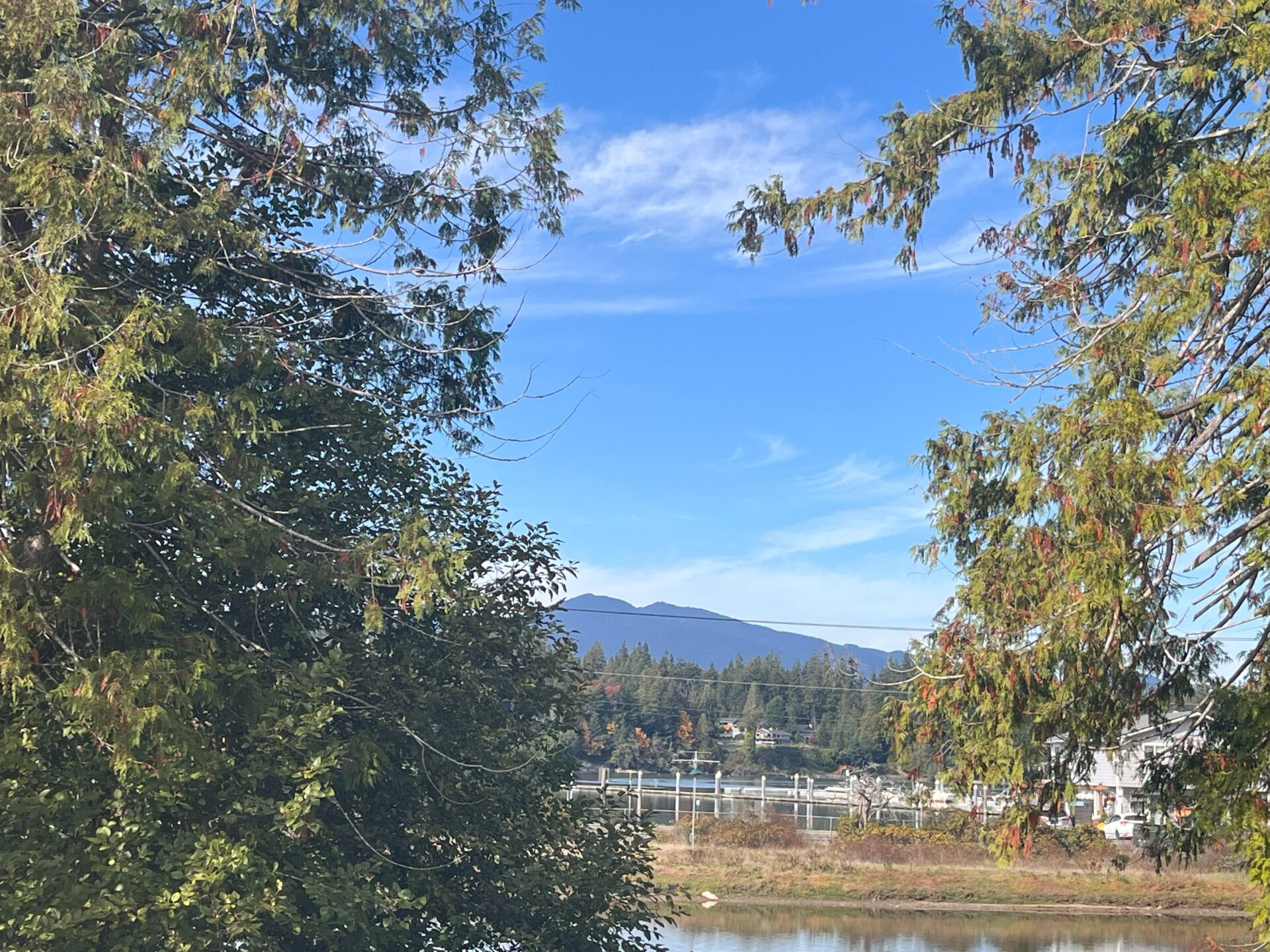 Photo of mountain and trees at the PNW Regional Conference 2024