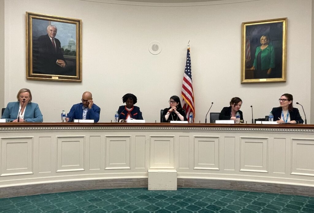 Dr. Theopista Jacob Masenge (third from the left) on a panel at a congressional briefing
