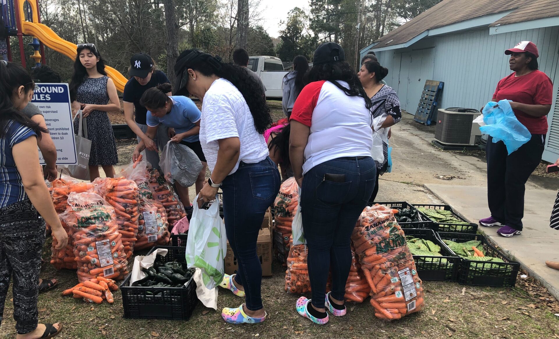 Members of community selecting from a variety of fresh vegetable food donations. Photo credit: Carla Ventura, Expert on Poverty