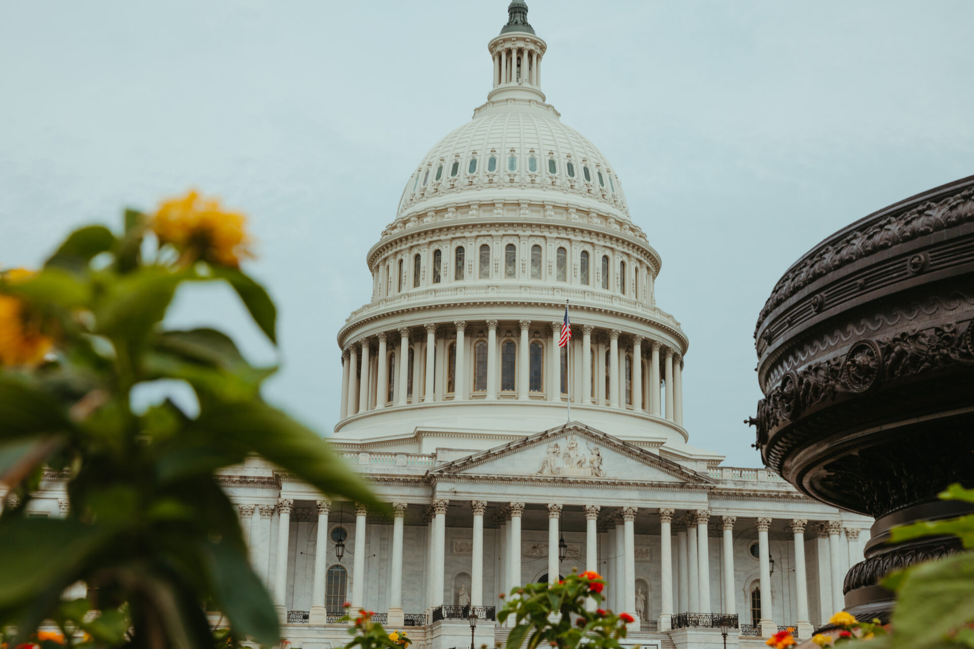 Capitol dome surrounded by flowers