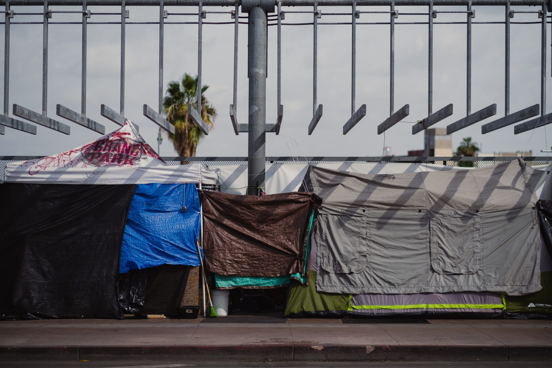 Tents lined up on street, picturing street homelessness