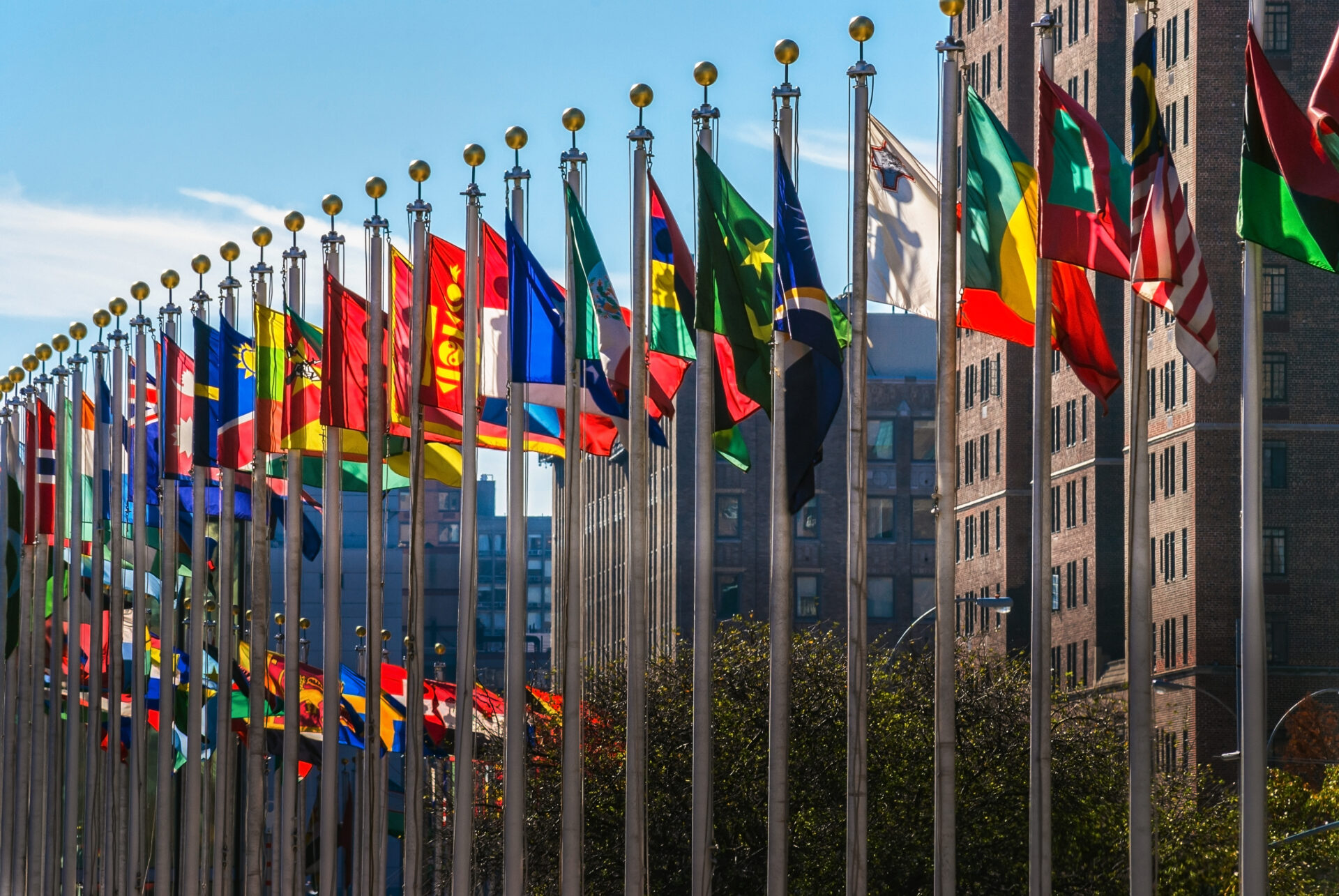 Flags from all countries outside of the UN building in Manhattan.